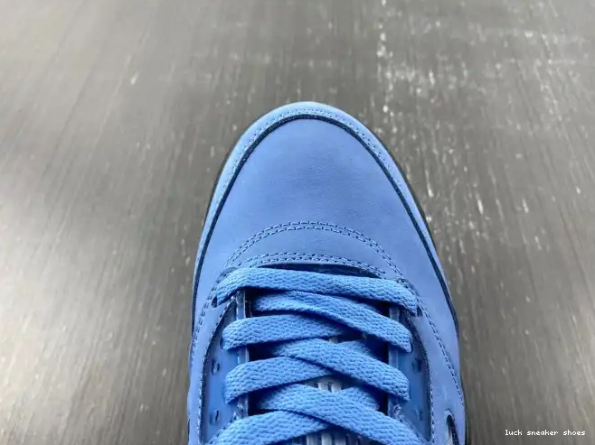 Rep LUCY 5 Jordan UNC DV1310-401 Air 0508